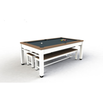Billard table extérieur Neptune US