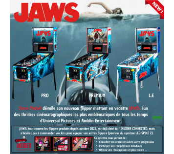 Flipper JAWS de chez Stern